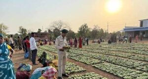 रिकॉर्ड खरीदी के बावजूद बस्तर में घटे संग्राहक, 50 हजार लोगों ने तेंदूपत्ता संग्रहण से बनाई दूरी