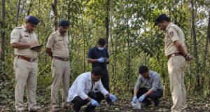 भोपाल में सनसनीखेज वारदात: महिला की हत्या के बाद शव जंगल में फेंका, आरोपियों की तलाश जारी