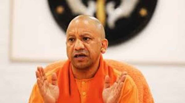 yogi_5-2.jpg