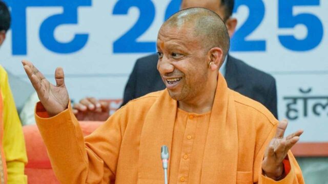 yogi_5-6.jpg