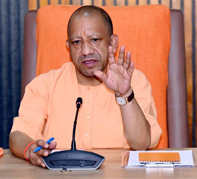 yogi_cm-2.jpg