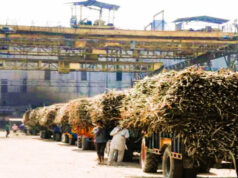 किसानों के हित में बड़ा कदम, खराब उर्वरक और कीटनाशक देने वाली चीनी मिलों पर होगी कार्रवाई