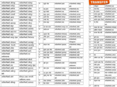 UP Transfer News: 12 घंटे में 363 अधिकारियों का तबादला, 181 PCS अफसर नई जिम्मेदारियों के साथ तैनात