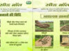 सीड बॉल अभियान से हरित छत्तीसगढ़ का सपना साकार, जनभागीदारी से बढ़ रही हरियाली