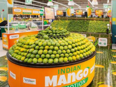 UP Mango Export: दुबई में गूंजा दशहरी-लंगड़ा का स्वाद, समंदर के रास्ते पहुंची 12.5 टन खेप