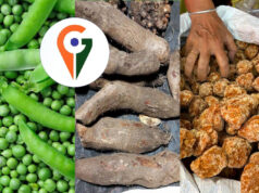 कृषि क्षेत्र में बड़ी उपलब्धि, पहली बार 12 उद्यानिकी फसलों को मिला GI Tag; 2030 तक बड़ा लक्ष्य तय