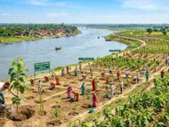 गंगा नदी के किनारे 603, गोमती किनारे 297, सरयू किनारे 254 स्थलों पर होगा भव्य पौधरोपण कार्यक्रम