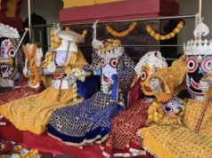 श्रीगोंचा महापर्व ने जोड़ा समाज, जगदलपुर में आस्था और संस्कृति का दिखा अद्भुत नजारा