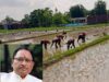 कमजोर मानसून के बीच CM साय का बड़ा संदेश, किसानों से बोले- बारिश के अनुसार करें खेती, सरकार देगी पूरा सहयोग