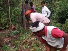 अबूझमाड़ की बदलेगी तस्वीर! जंगलों में महकेगी कॉफी, ओडिशा में प्रशिक्षण लेंगे अधिकारी