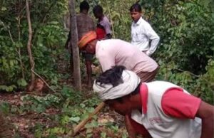अबूझमाड़ की बदलेगी तस्वीर! जंगलों में महकेगी कॉफी, ओडिशा में प्रशिक्षण लेंगे अधिकारी