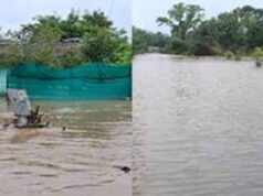 Heavy Rain in CG: उफान पर नदी-नाले, CM साय का बड़ा निर्देश- बाढ़ से निपटने सभी कलेक्टर रहें अलर्ट