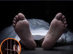 CG जेलों में मौतों का आंकड़ा चिंताजनक, 5 साल में 375 मौतें, 62 मामलों की जांच रिपोर्ट गायब