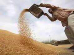 गेहूं उपार्जन में अनियमितताओं की पहचान के लिए जिला समितियों को दिए गए निर्देश
