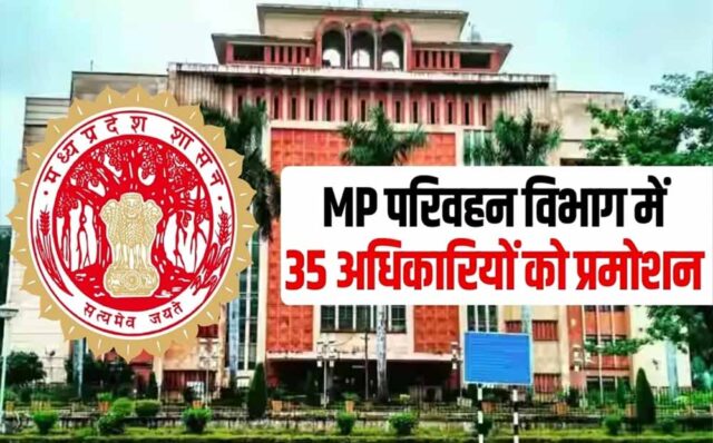MP_News_03-3-1.jpg