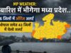 मानसून हुआ सक्रिय, मध्य प्रदेश के अधिकांश हिस्सों में बारिश की चेतावनी, कई जिलों में ऑरेंज-येलो अलर्ट