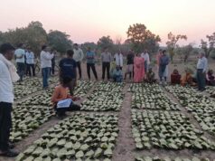 सुशासन का लाभ: तेन्दूपत्ता संग्राहकों को मिली आर्थिक मजबूती, करोड़ों की बोनस राशि हुई जारी