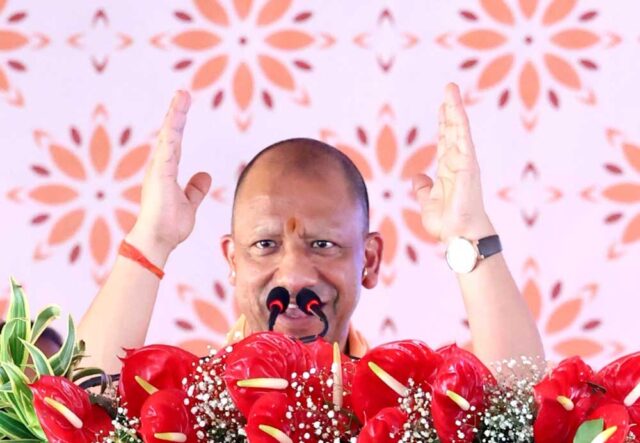 Yogi_02-14.jpg