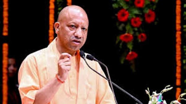 Yogi_04.jpg