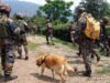 Shopian Encounter: 5 दिन से घिरा लश्कर आतंकी जाकिर गनई मारा गया, पुलिस ने कहा- ‘You can run, but you can’t hide’
