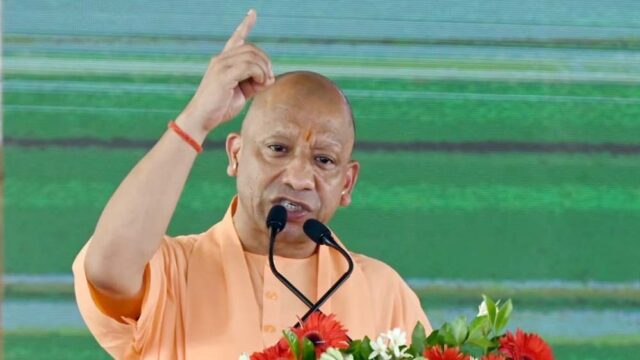 cm_yogi_11-9.jpg