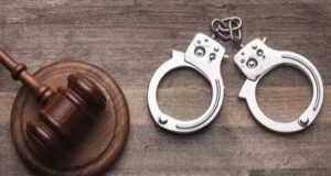 पीड़िता को राज्य विधिक सेवा प्राधिकरण की योजना के अंतर्गत 5 लाख रूपए प्रतिकर स्वीकृत