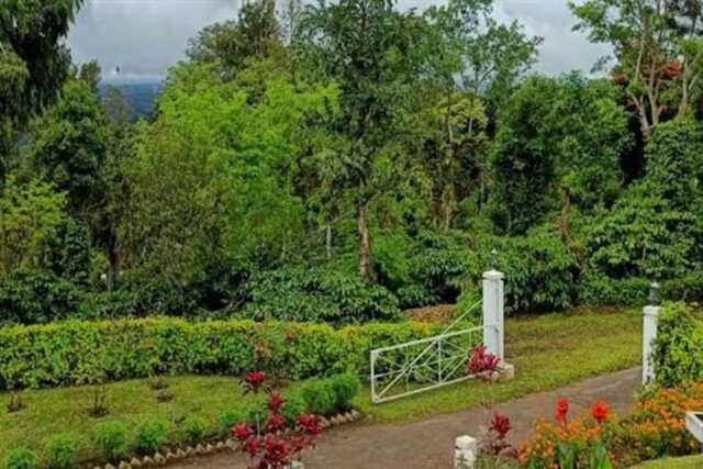 gARDEN_01.jpg