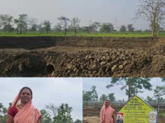 बारिश से लबालब हुए नवा तरिया और आजीविका डबरियां, जल संरक्षण अभियान को मिली रफ्तार