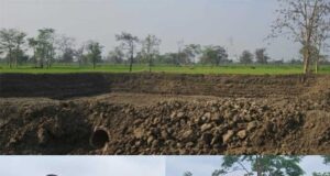 बारिश से लबालब हुए नवा तरिया और आजीविका डबरियां, जल संरक्षण अभियान को मिली रफ्तार