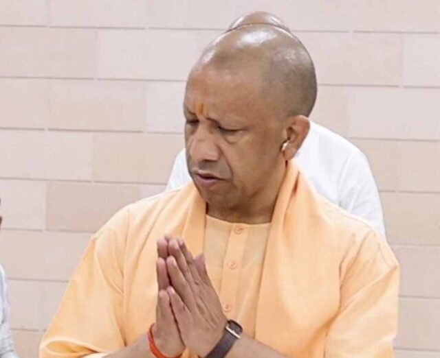 yogi_07-5.jpg