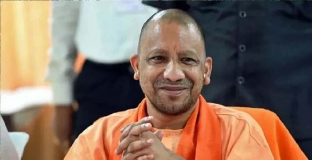 yogi_2_27_2-9.jpg