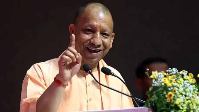 yogi_4.jpg