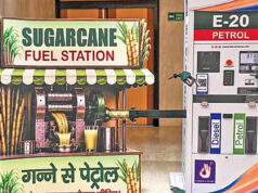 E20 पर छिड़ी बहस: एथेनॉल उत्पादन बढ़ाने से खाद्य संकट का डर? सरकार को मिली बड़ी चेतावनी