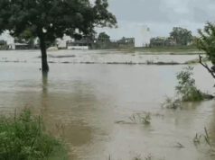MP Rain Alert: भोपाल में 3 दिन की बारिश से सड़कें बेहाल, अटल पथ समेत कई रास्ते खराब; स्कूलों में छुट्टी