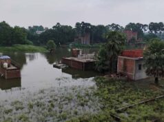 बाढ़ की मार से किसान परेशान, गंगा-वरुणा के बढ़ते पानी में सब्जियों की फसल डूबने का खतरा