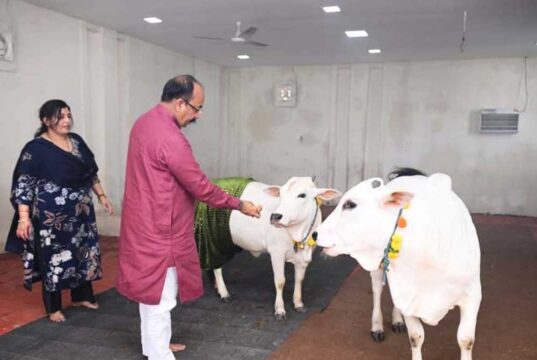 परंपरा और प्रकृति के पर्व हरेली पर उप मुख्यमंत्री अरुण साव ने प्रदेशवासियों को दी बधाई