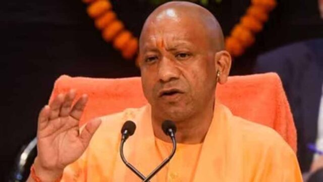 cm_yogi_6-9.jpg