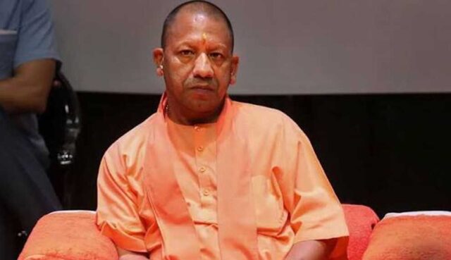 yogi_02-16.jpg