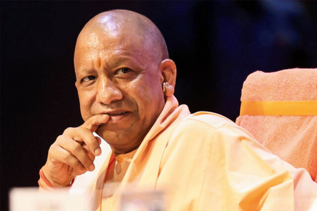 yogi_A_26_3.jpg
