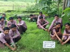 किताबी ज्ञान के साथ बागवानी के गुर सीखेंगे बच्चे, यूपी के 49 पीएमश्री विद्यालयों को मिलेगा ₹20 हजार