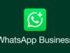 WhatsApp Business पर अब देने होंगे पैसे, जानें 1 अक्टूबर से क्या बदलेगा