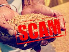 MP में BPL राशन की गड़बड़ी का खुलासा, जबलपुर में 4,998 संपन्न परिवार मुफ्त राशन लेते मिले
