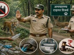 छत्तीसगढ़ के जंगलों में प्लास्टिक फेंका तो खैर नहीं, वन्यजीवों की सुरक्षा के लिए बड़ा फैसला