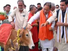छत्तीसगढ़ में धूमधाम से मनेगा पोला पर्व, CM विष्णुदेव साय की कार्यक्रमों में होगी शिरकत