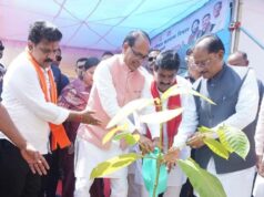 केंद्रीय मंत्री चौहान ने लगाया कदम और मुख्यमंत्री साय ने बादाम का पौधा
