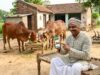 यूपी में दुग्ध उत्पादन बढ़ाने की पहल, गाय खरीदने के लिए पशुपालकों की भागदौड़ होगी कम
