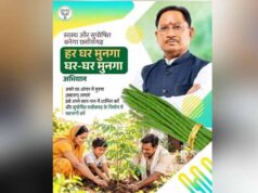 एनीमिया और कुपोषण पर वार, छत्तीसगढ़ में ‘हर-घर मुनगा, घर-घर मुनगा’ अभियान की तैयारी