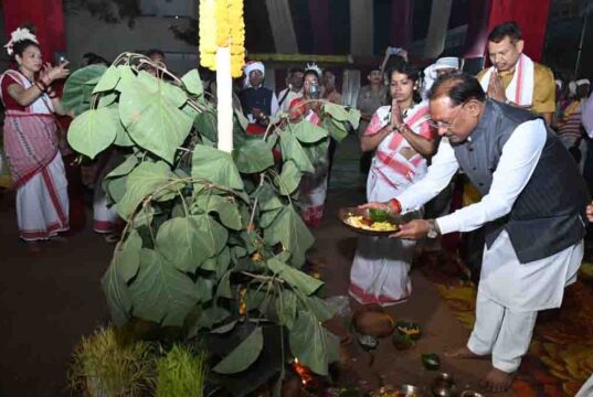 ऐसे आयोजन नई पीढ़ी को अपनी संस्कृति और परंपराओं से जोड़ने का सशक्त माध्यम : मुख्यमंत्री साय