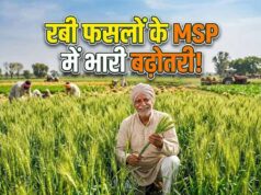 गेहूं से ज्यादा दलहन-तिलहन पर फोकस, रबी MSP बढ़ने से किसानों को मिलेगा फायदा