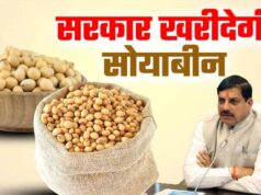 Soybean Registration: 3 अक्टूबर से शुरू होगा पंजीयन, 17 अक्टूबर है आखिरी तारीख